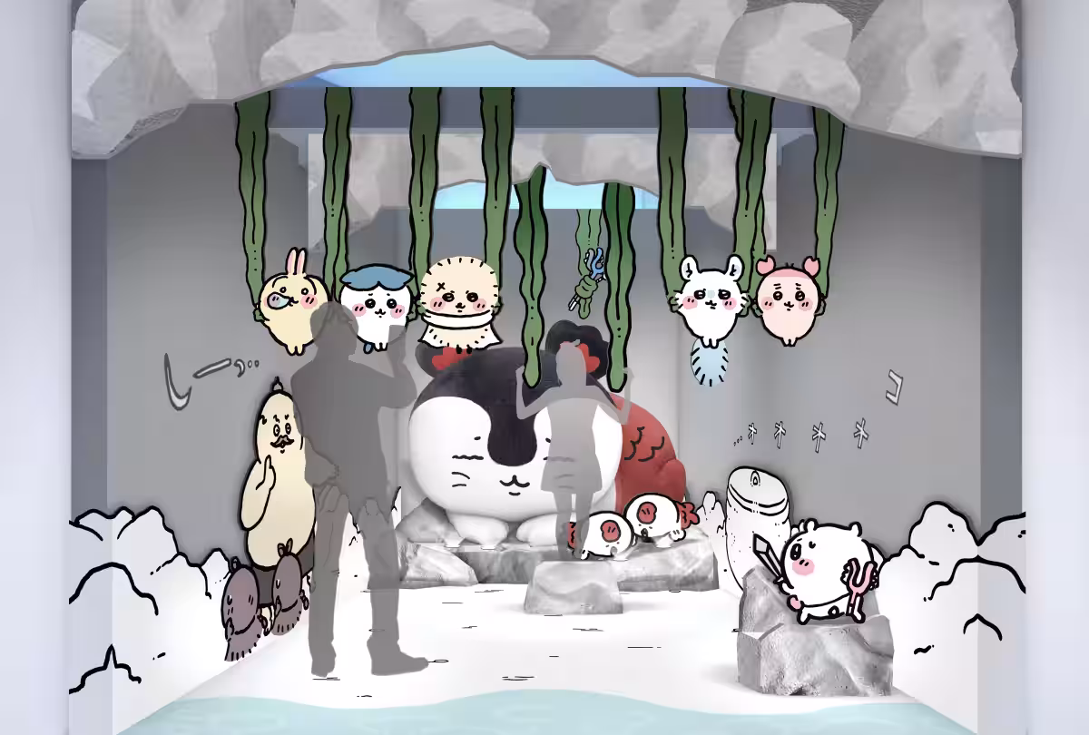 画像8