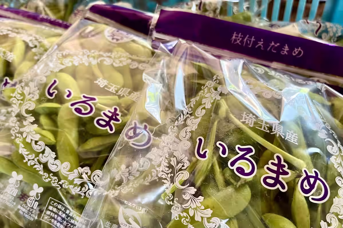 画像9