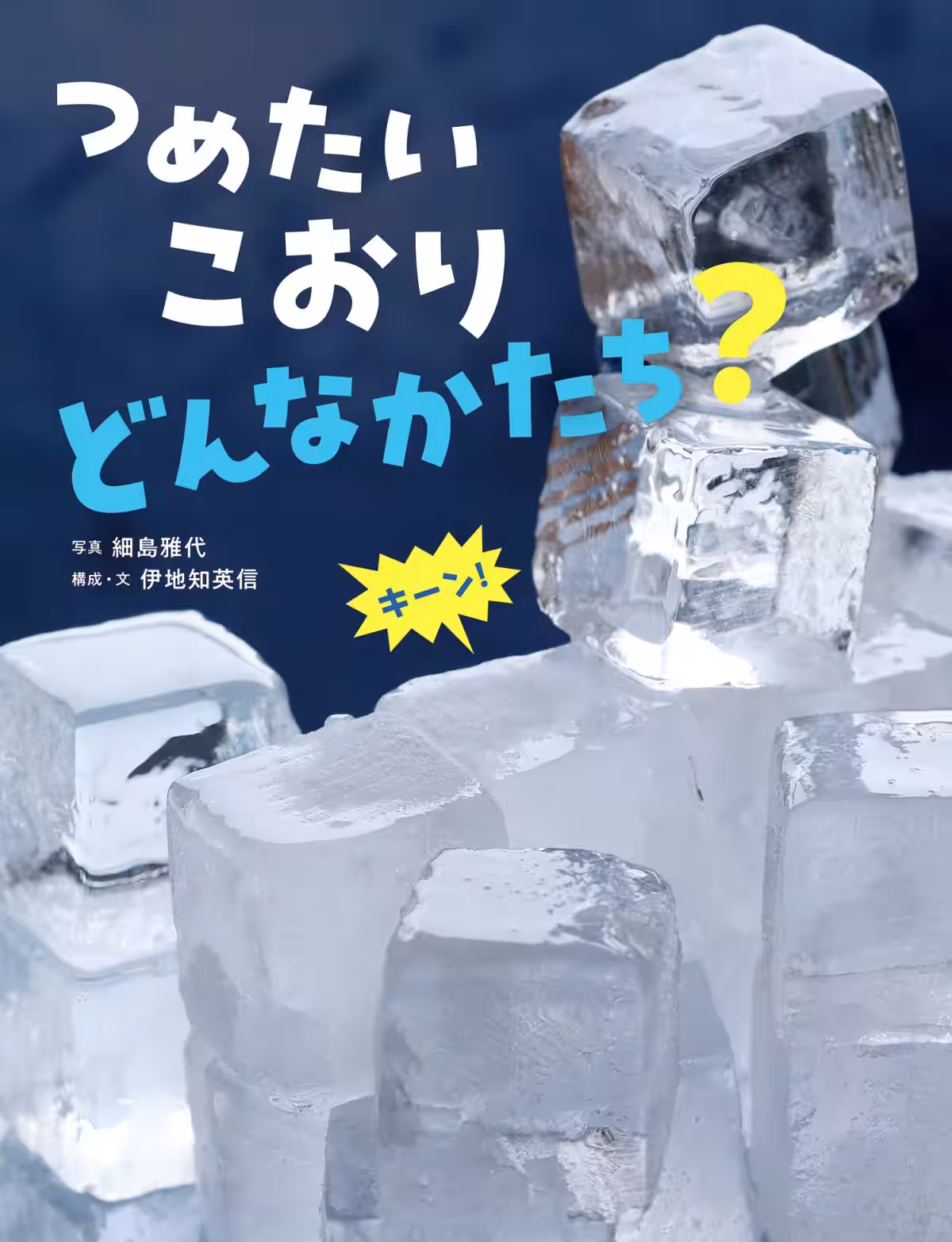 画像7