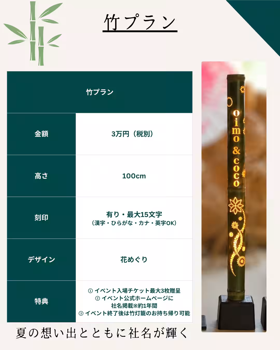 画像14
