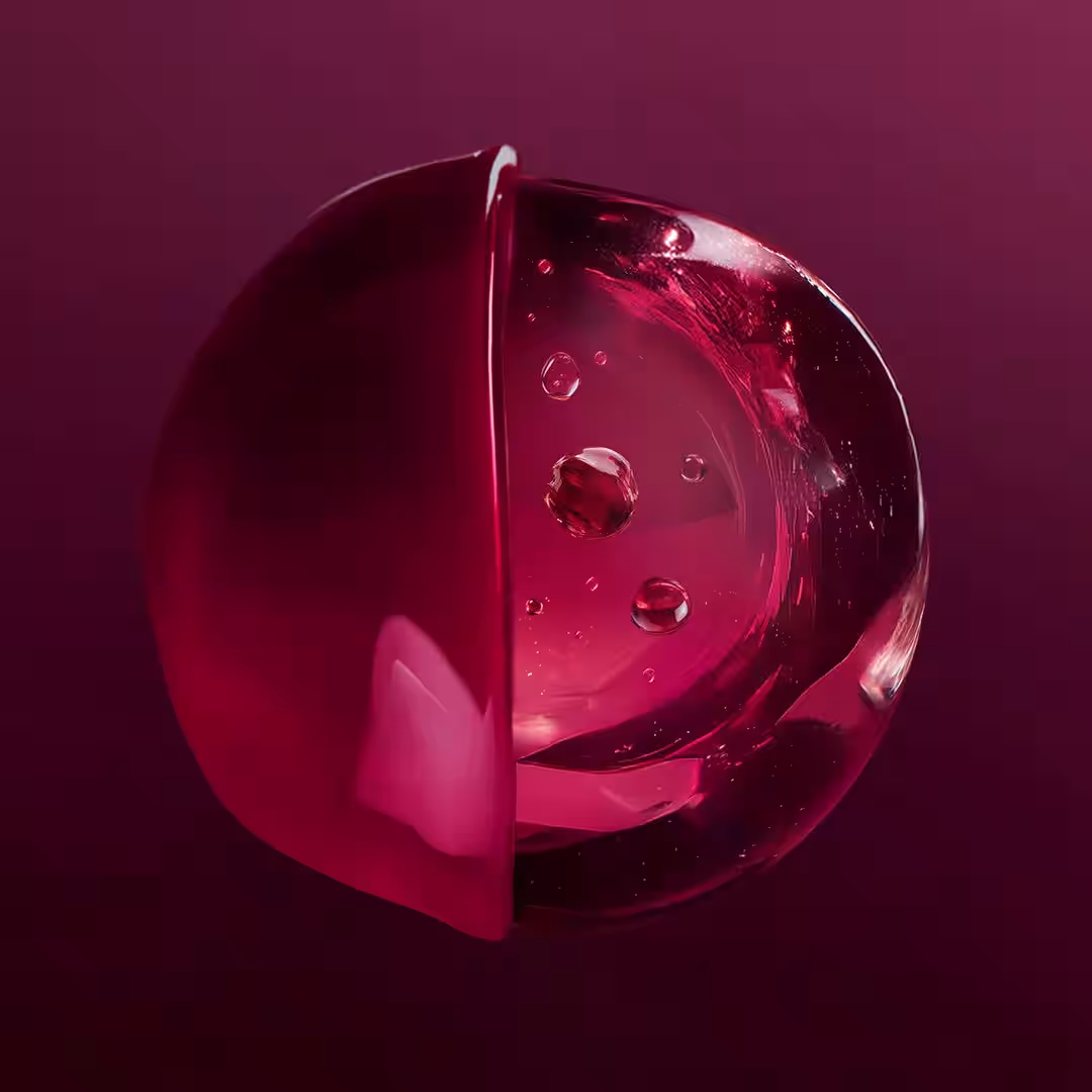 画像15