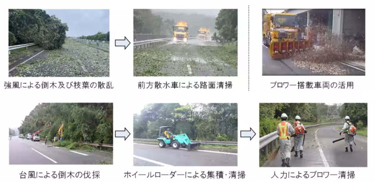 画像11