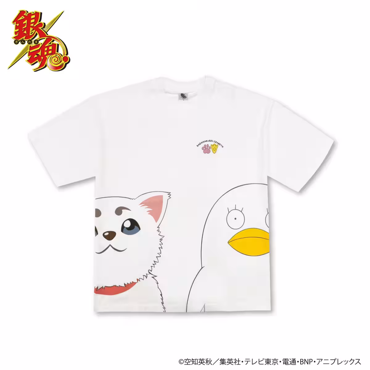 画像7