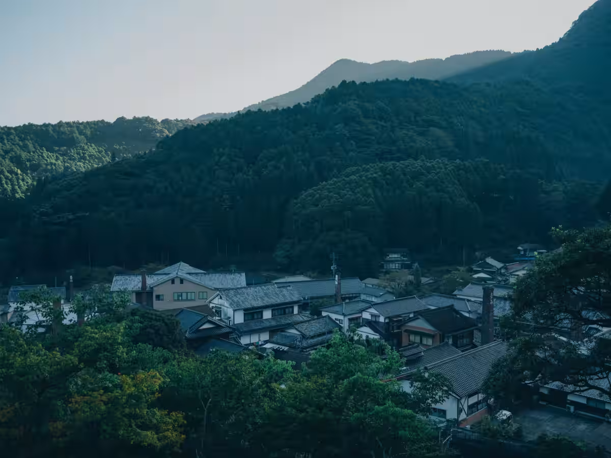 画像14