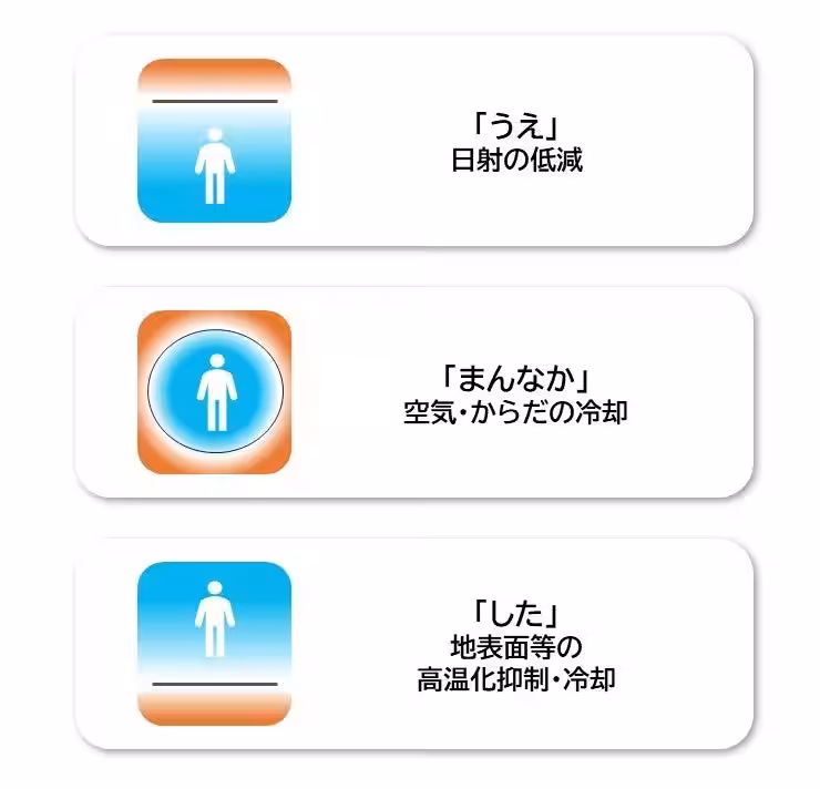 画像12