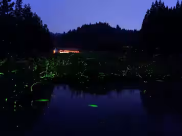 画像11