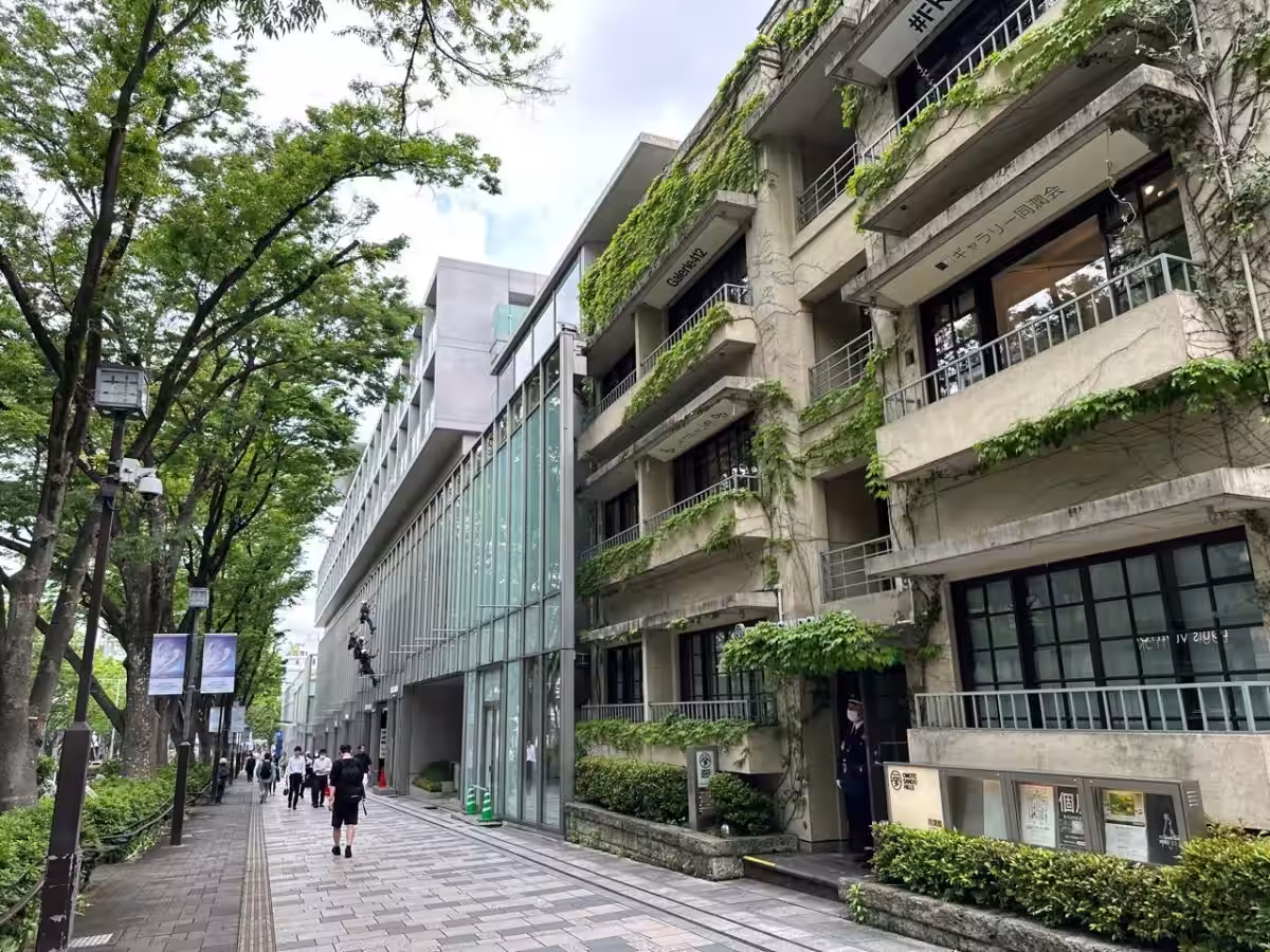 画像5