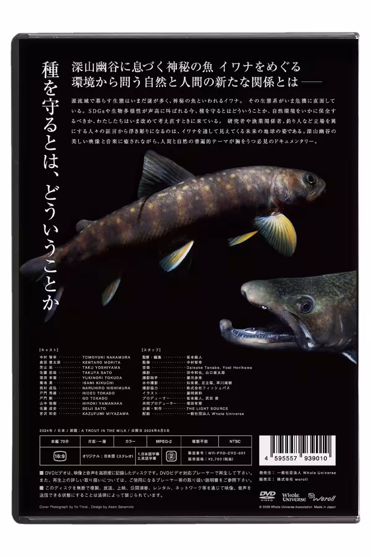 画像13