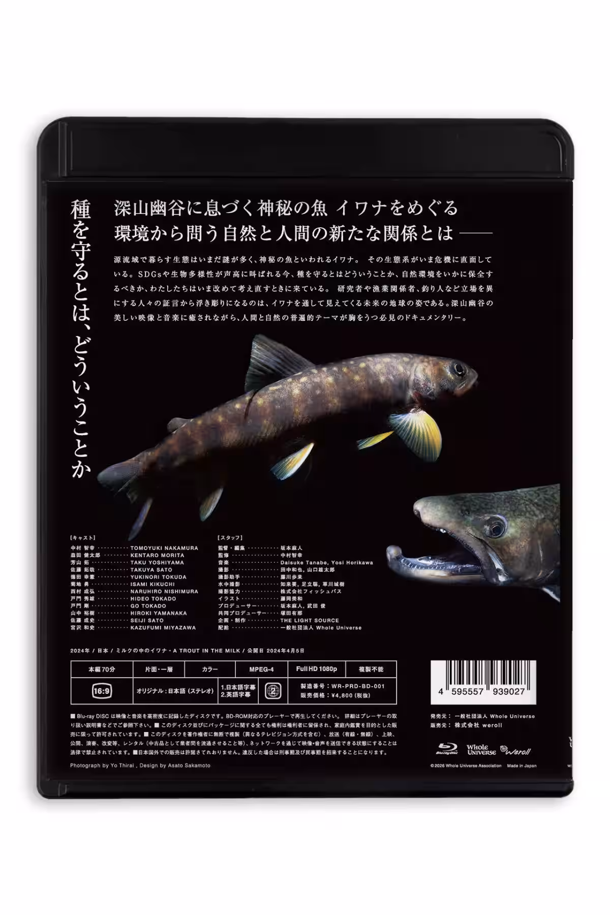 画像15