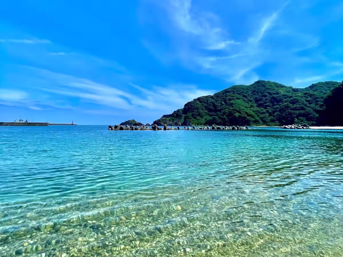 画像13