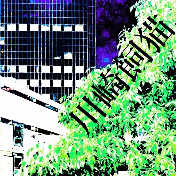 画像7