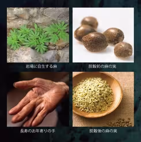 画像5