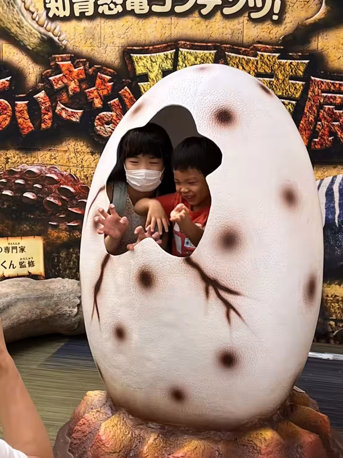 画像6