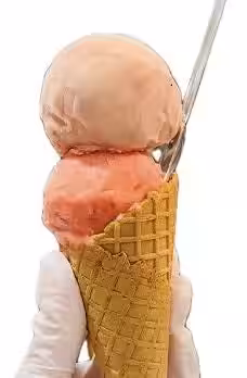 画像16