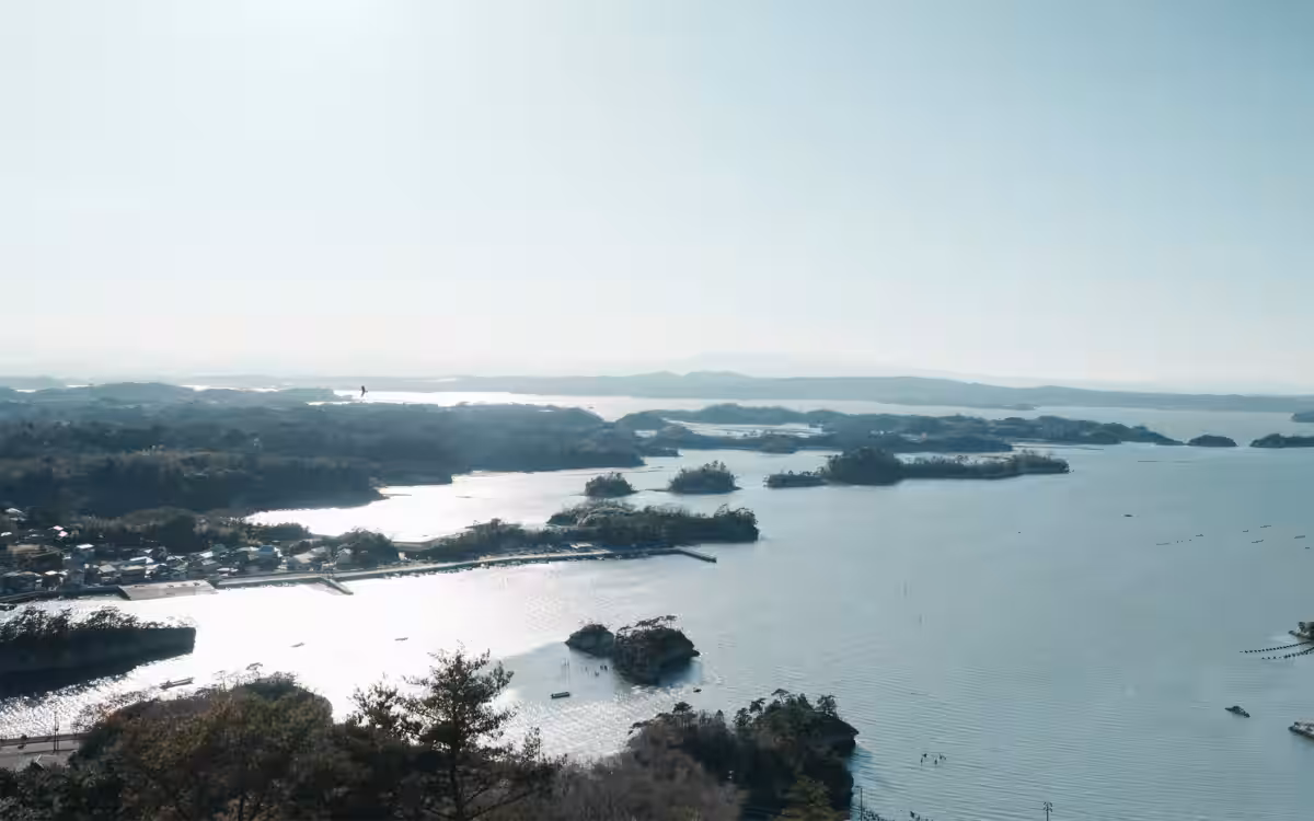 画像7