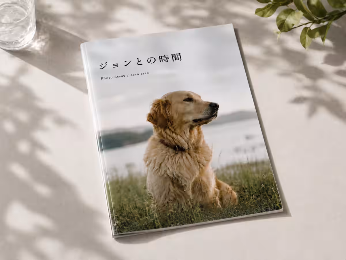 画像6