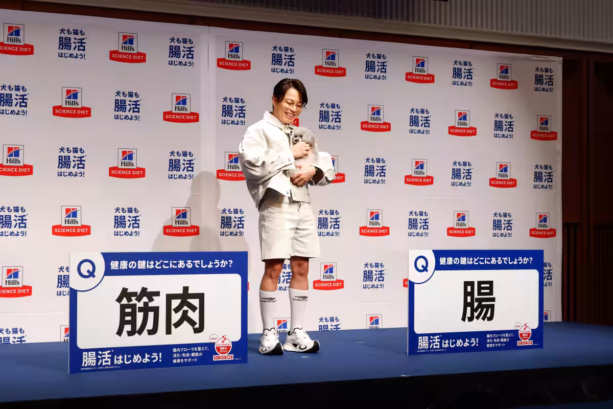 画像11