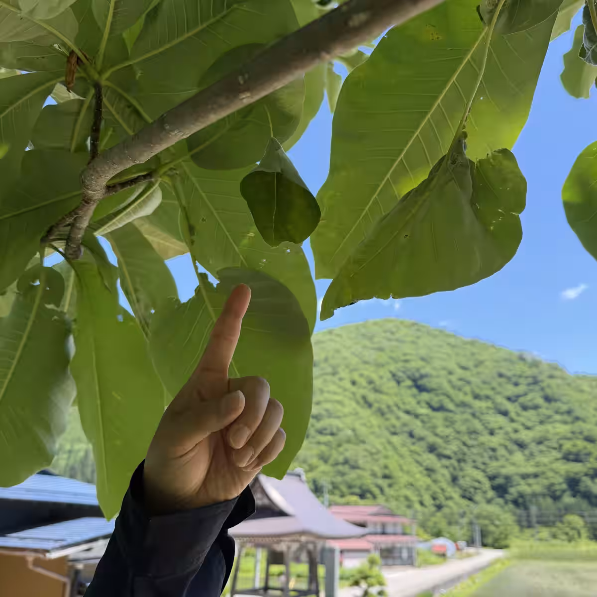 画像2