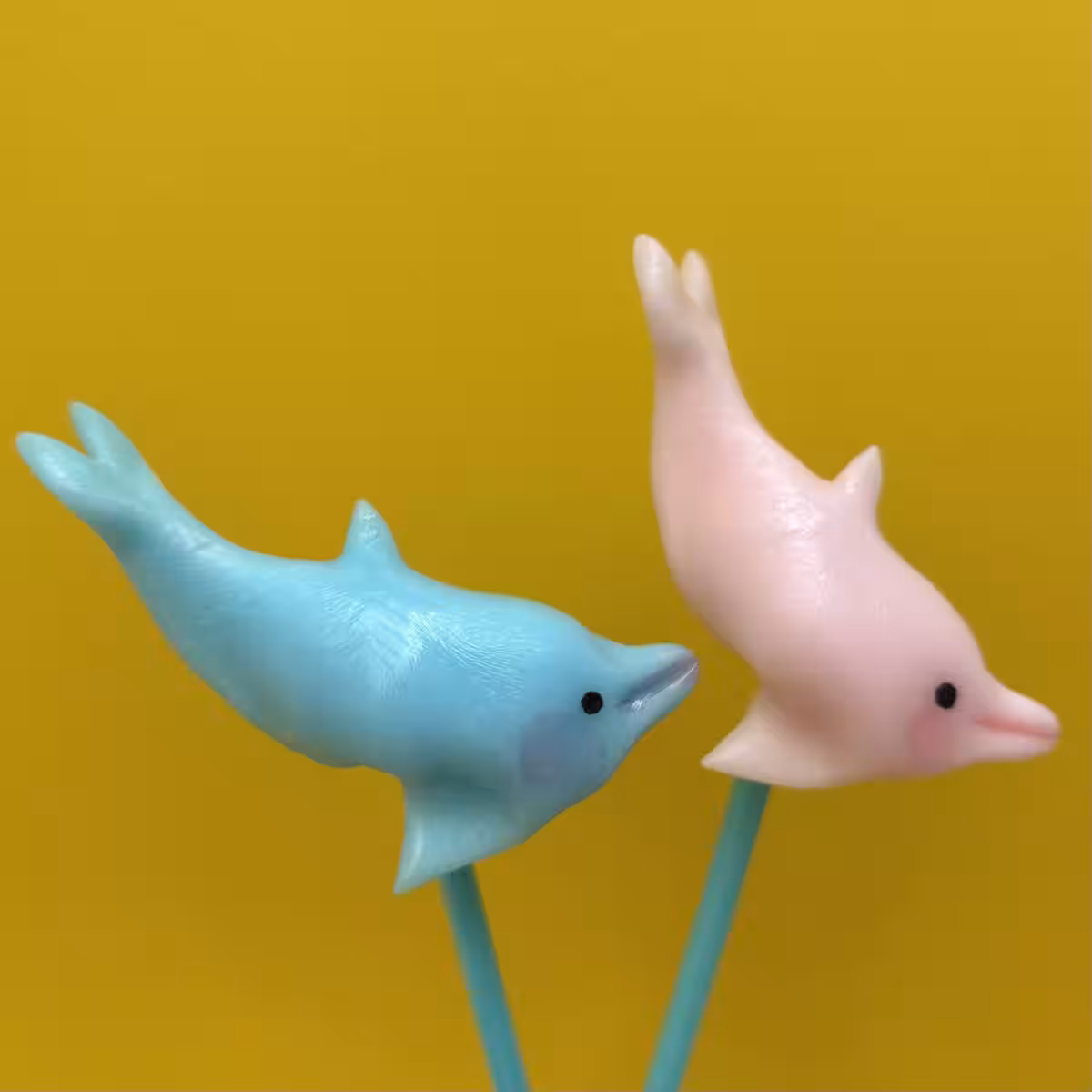 画像7
