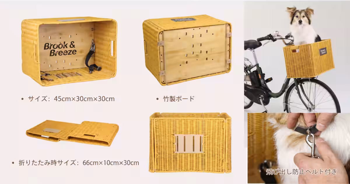 画像12