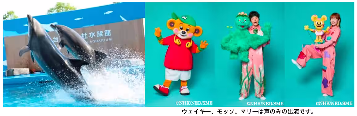 画像5