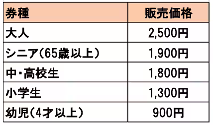 画像17