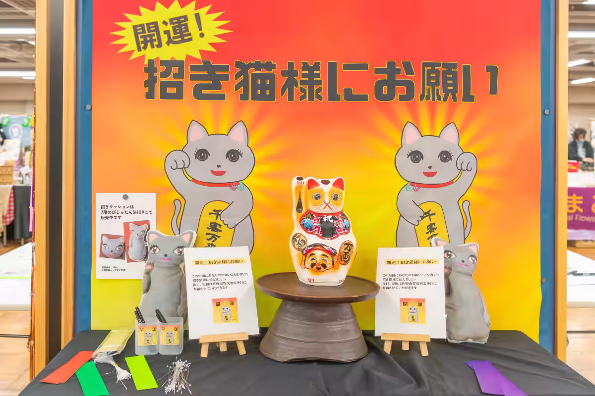 画像7