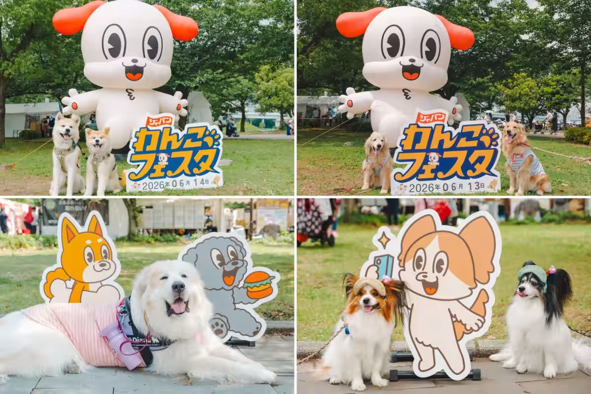 画像9