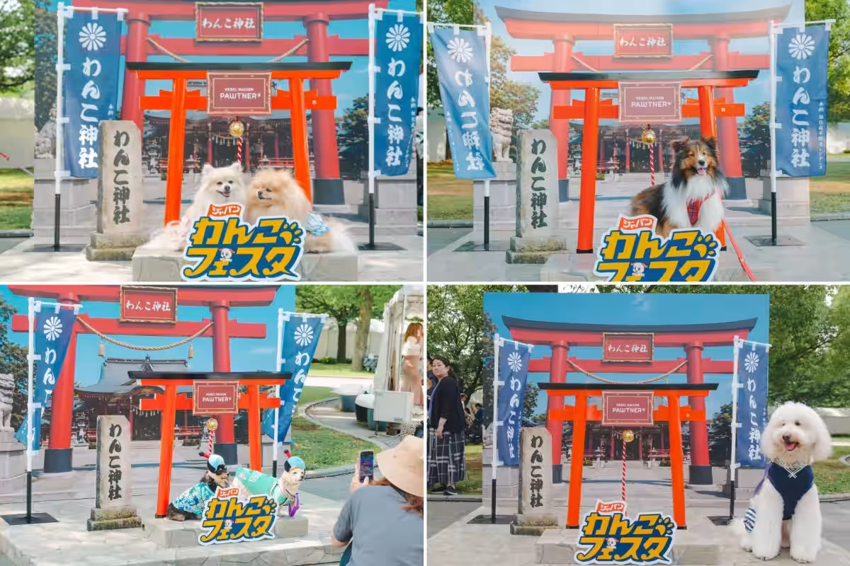 画像8