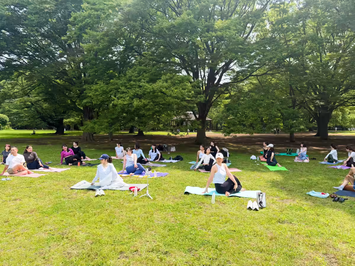 画像12