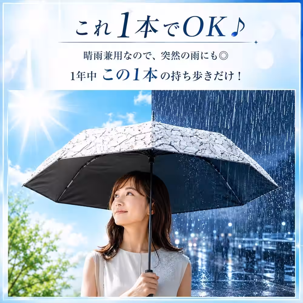 画像12