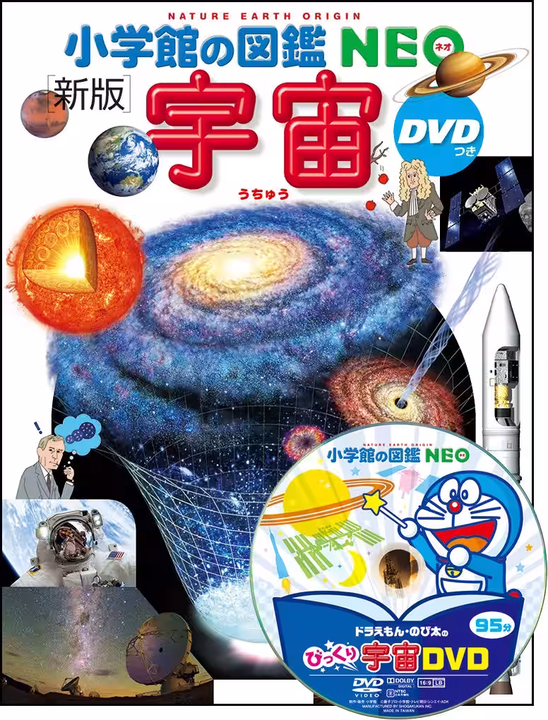 画像7