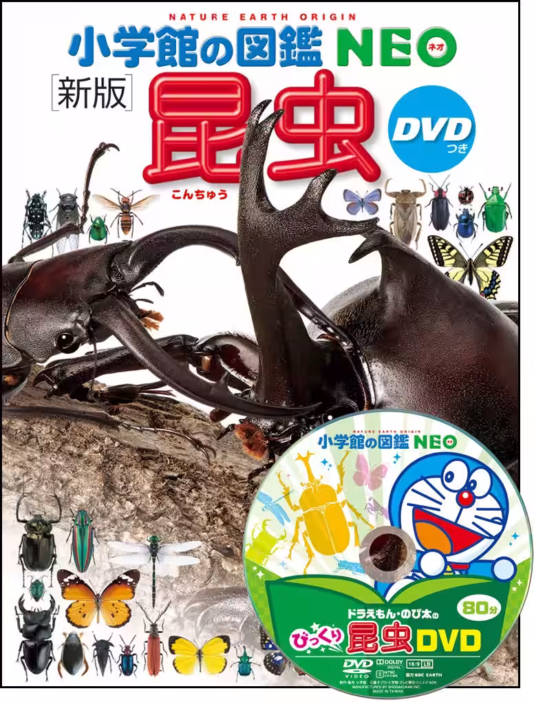 画像6
