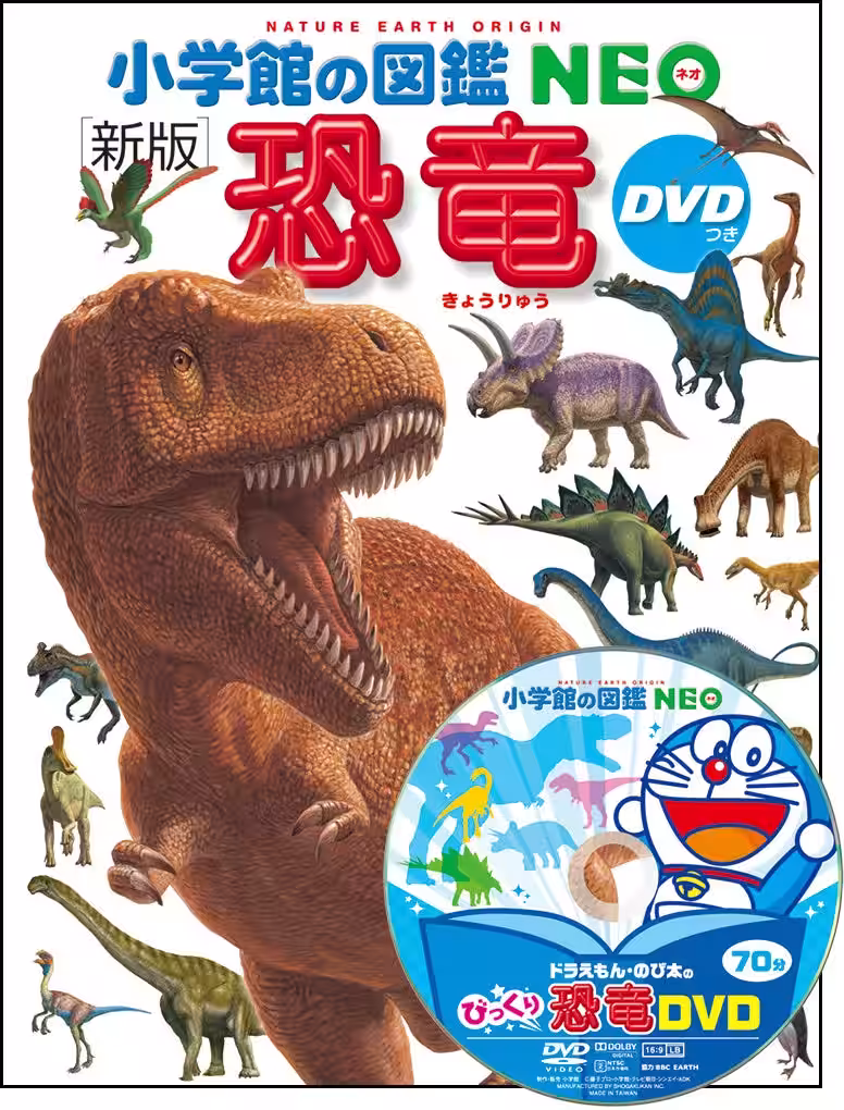 画像8