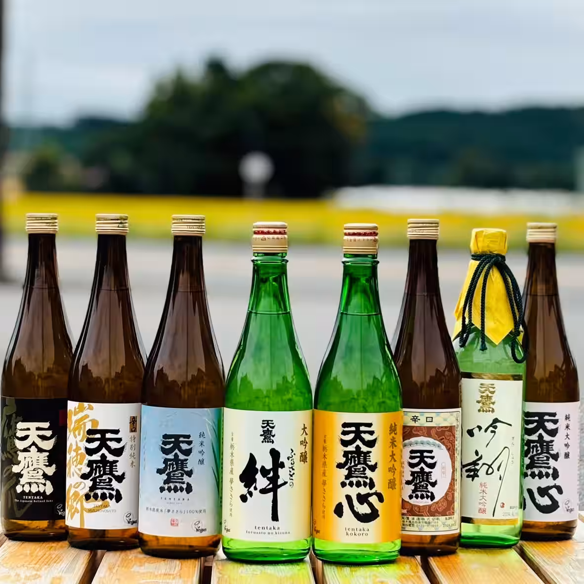 画像6