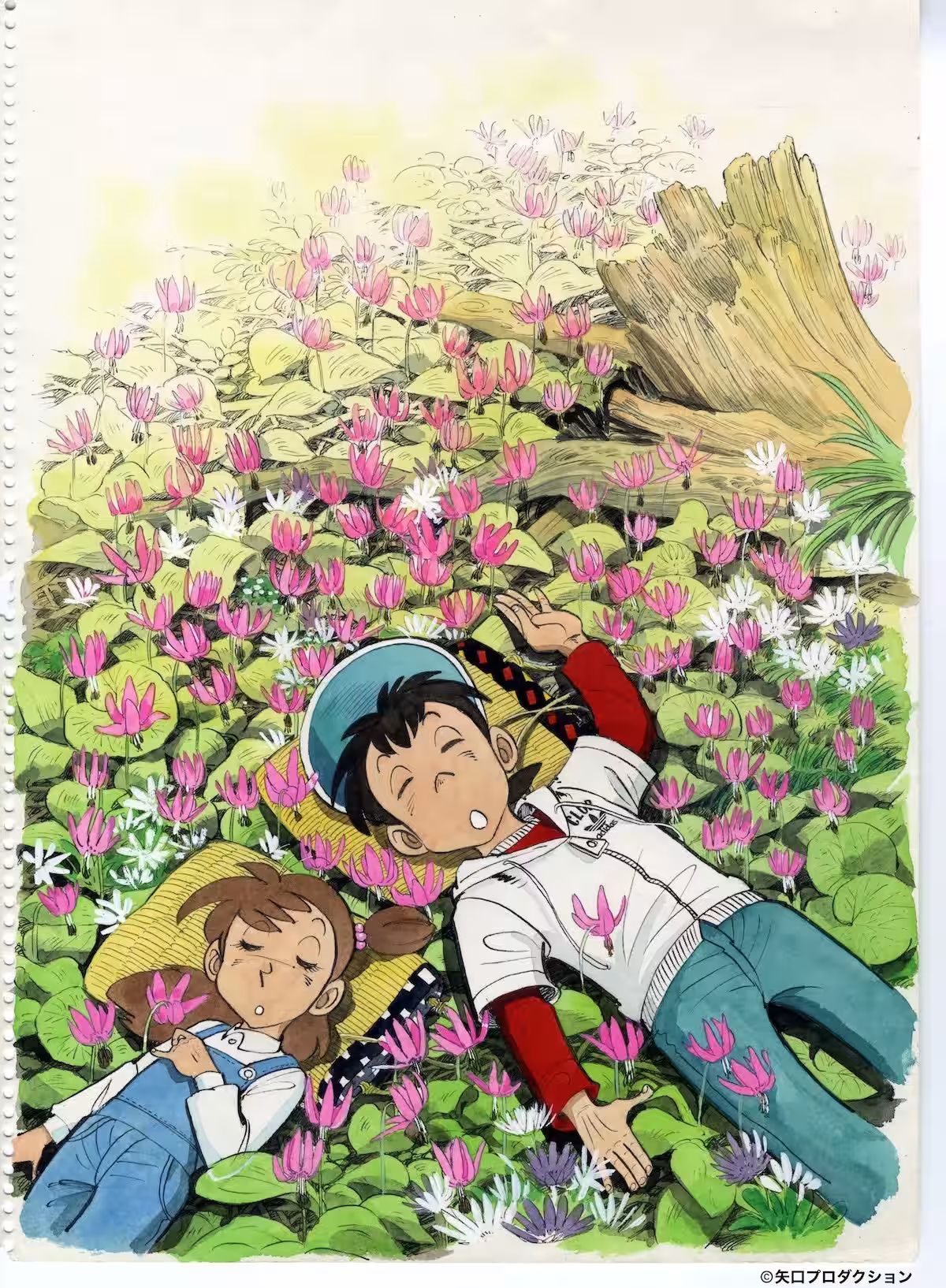 画像4