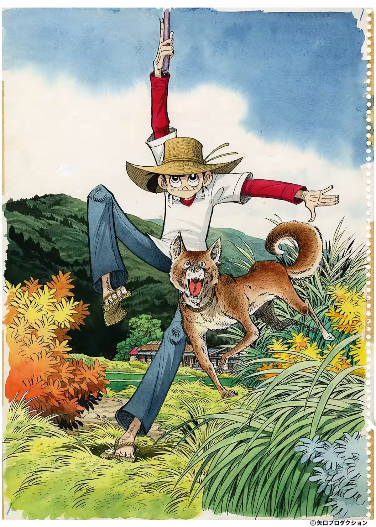 画像5