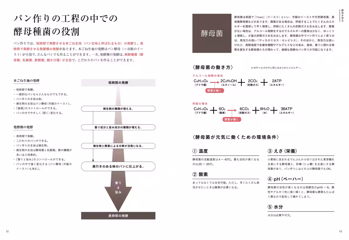 画像11