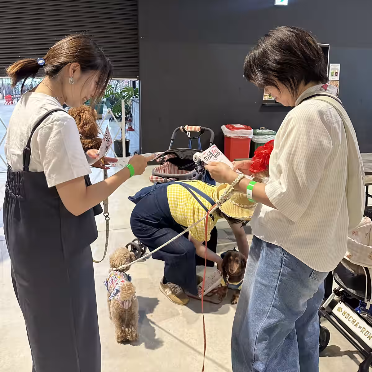 画像15