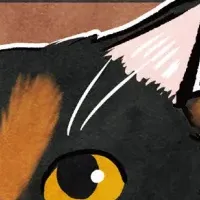 古民家に住む猫