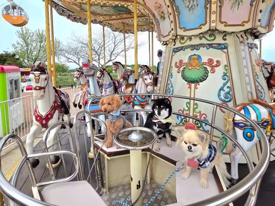 画像15
