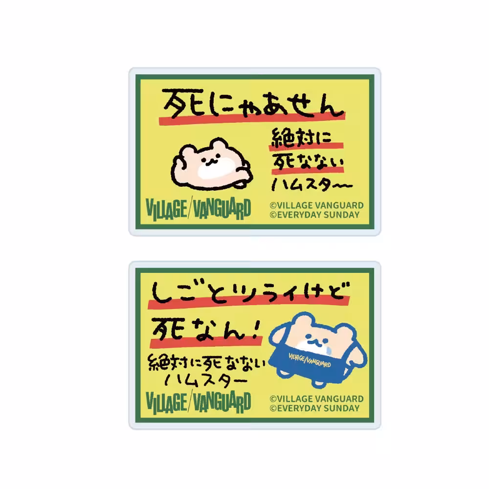 画像7