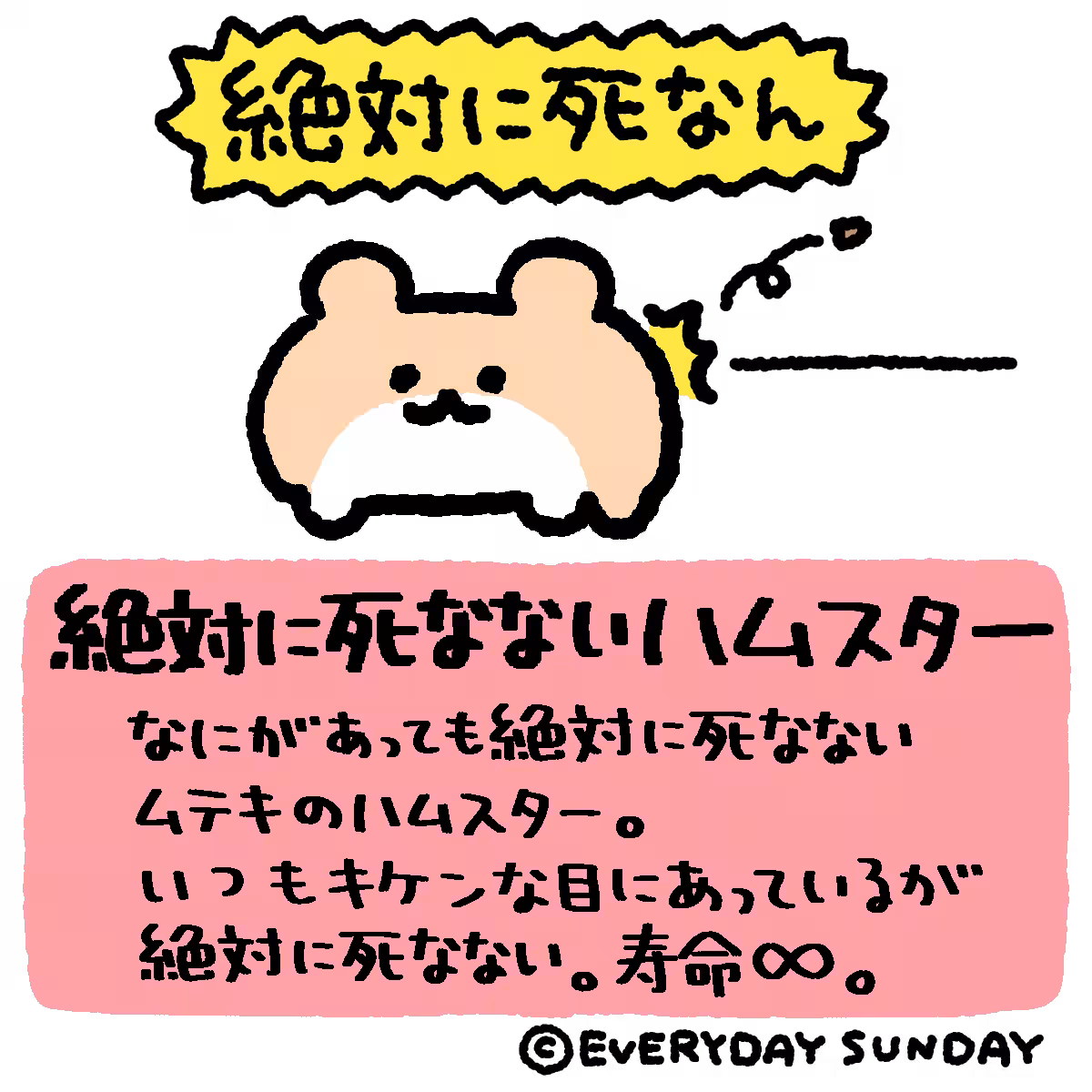 画像13