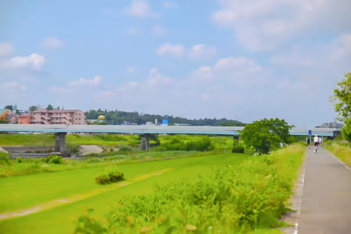 画像5