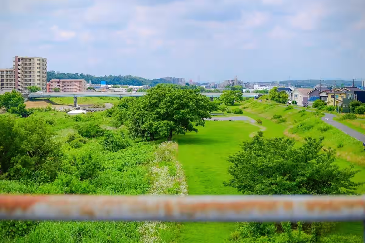 画像8