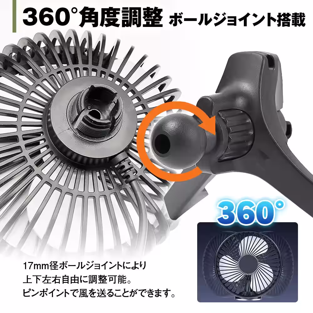 画像6