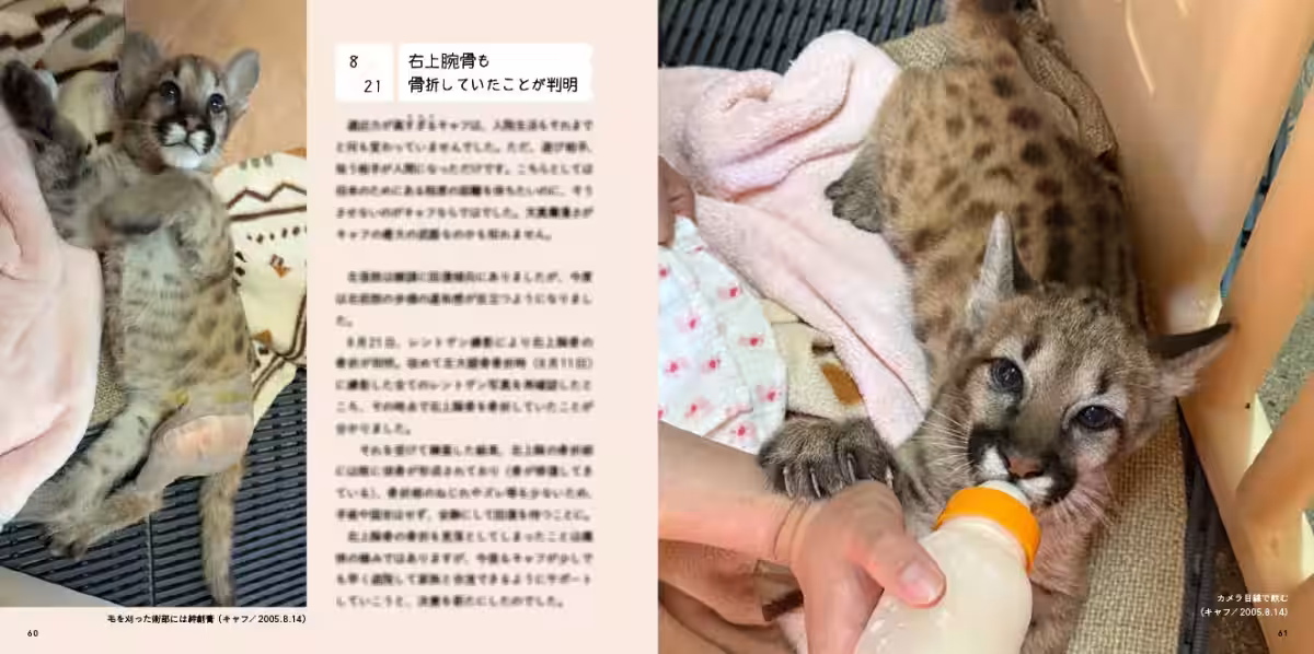 画像15