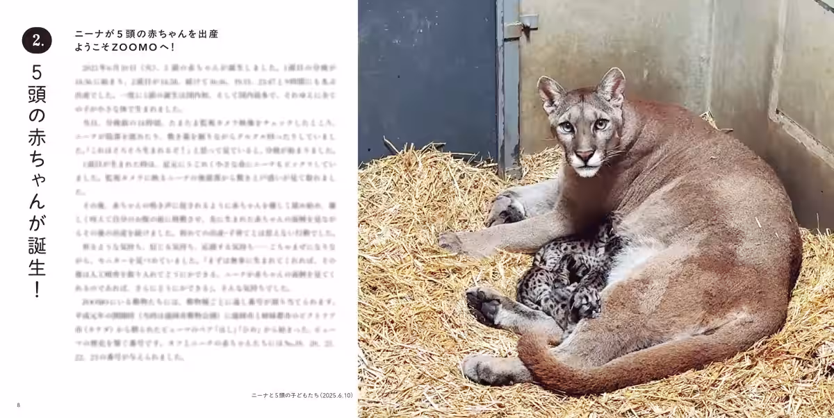 画像9