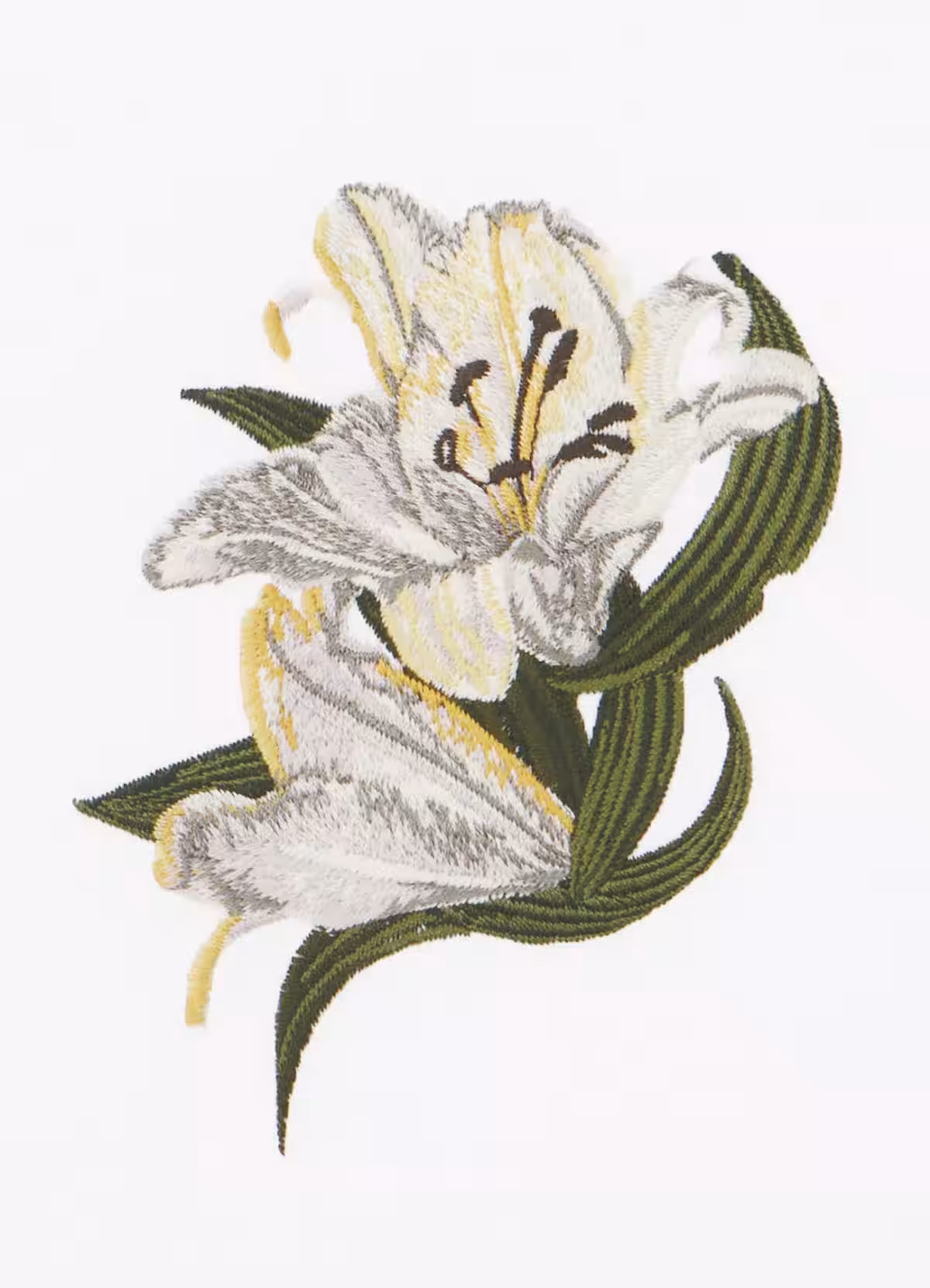 画像12