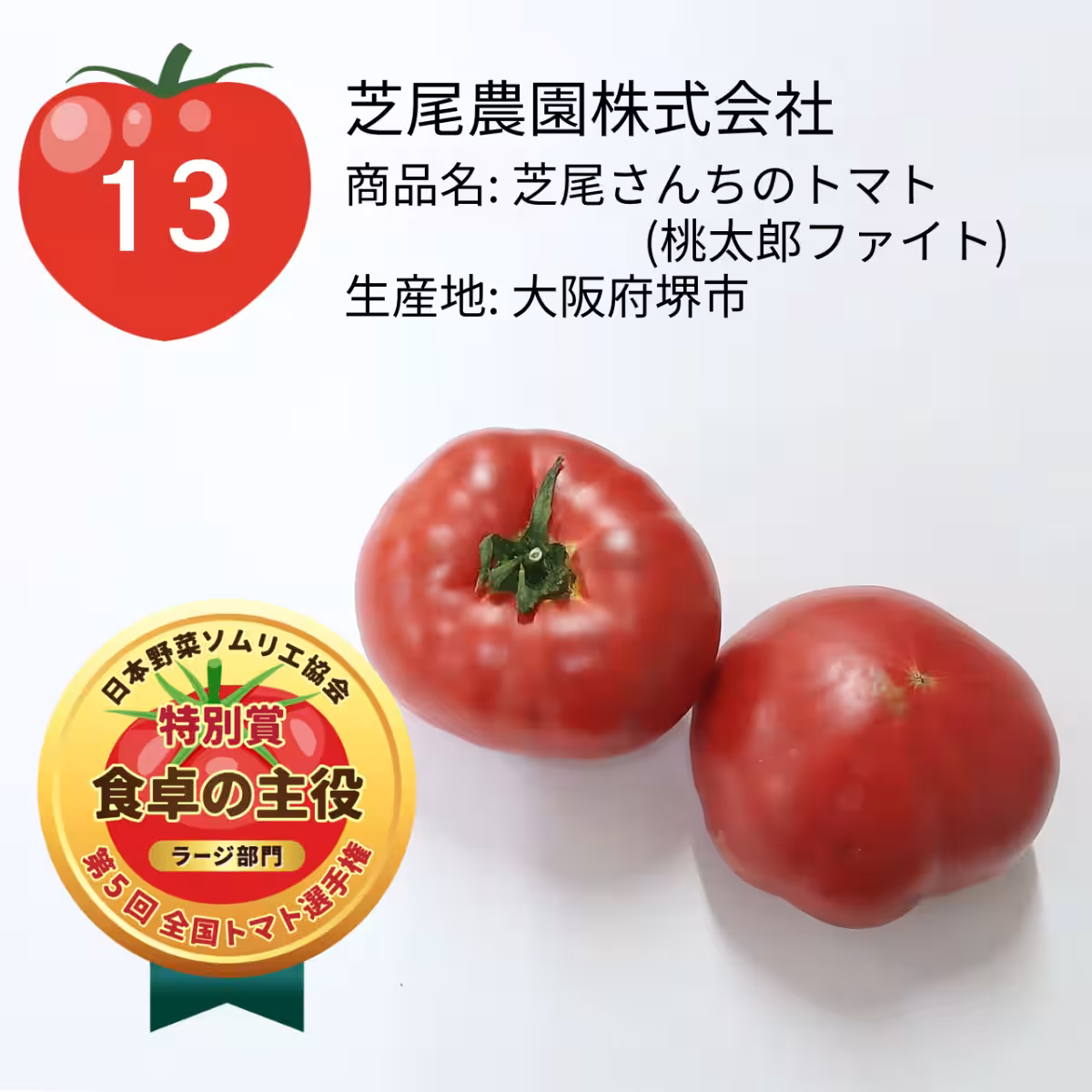 画像11